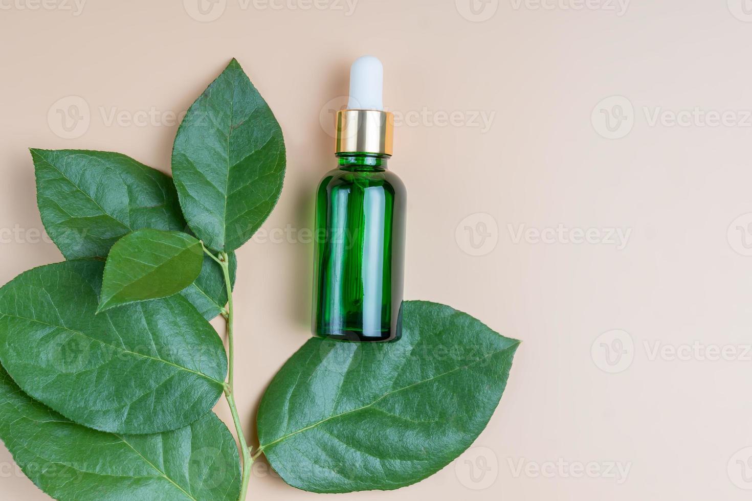 bellezza trattamento cura della pelle e cosmetico lozione, siero o olio modello bottiglia confezione Prodotto su beige sfondo. moderno Prodotto presentazione con verde le foglie foto