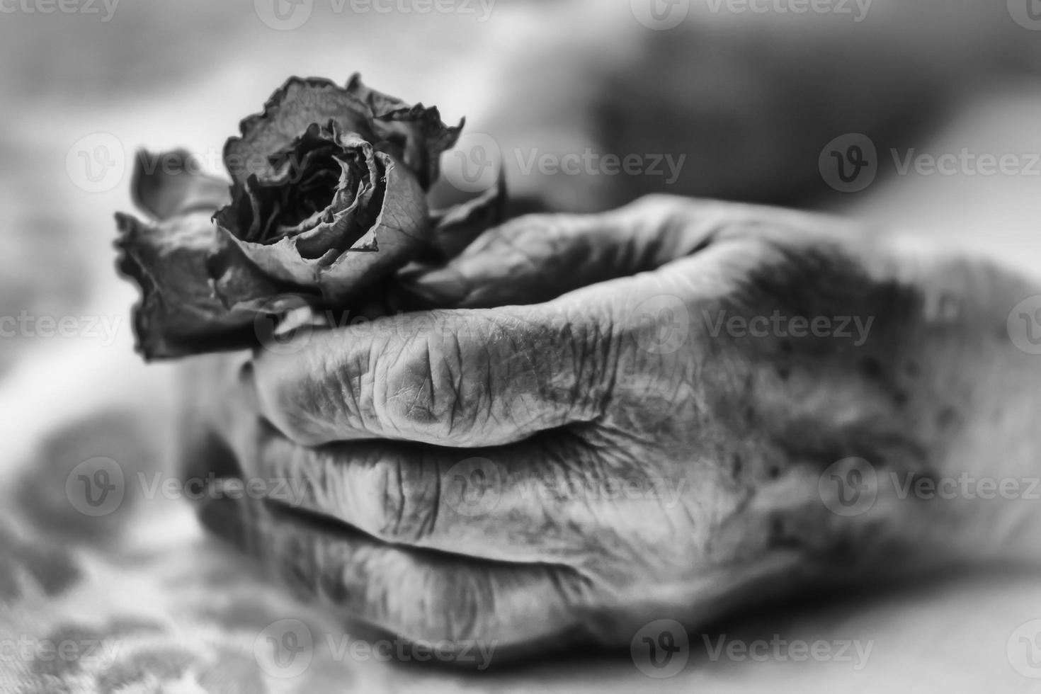 anziano donna mani e fiori foto