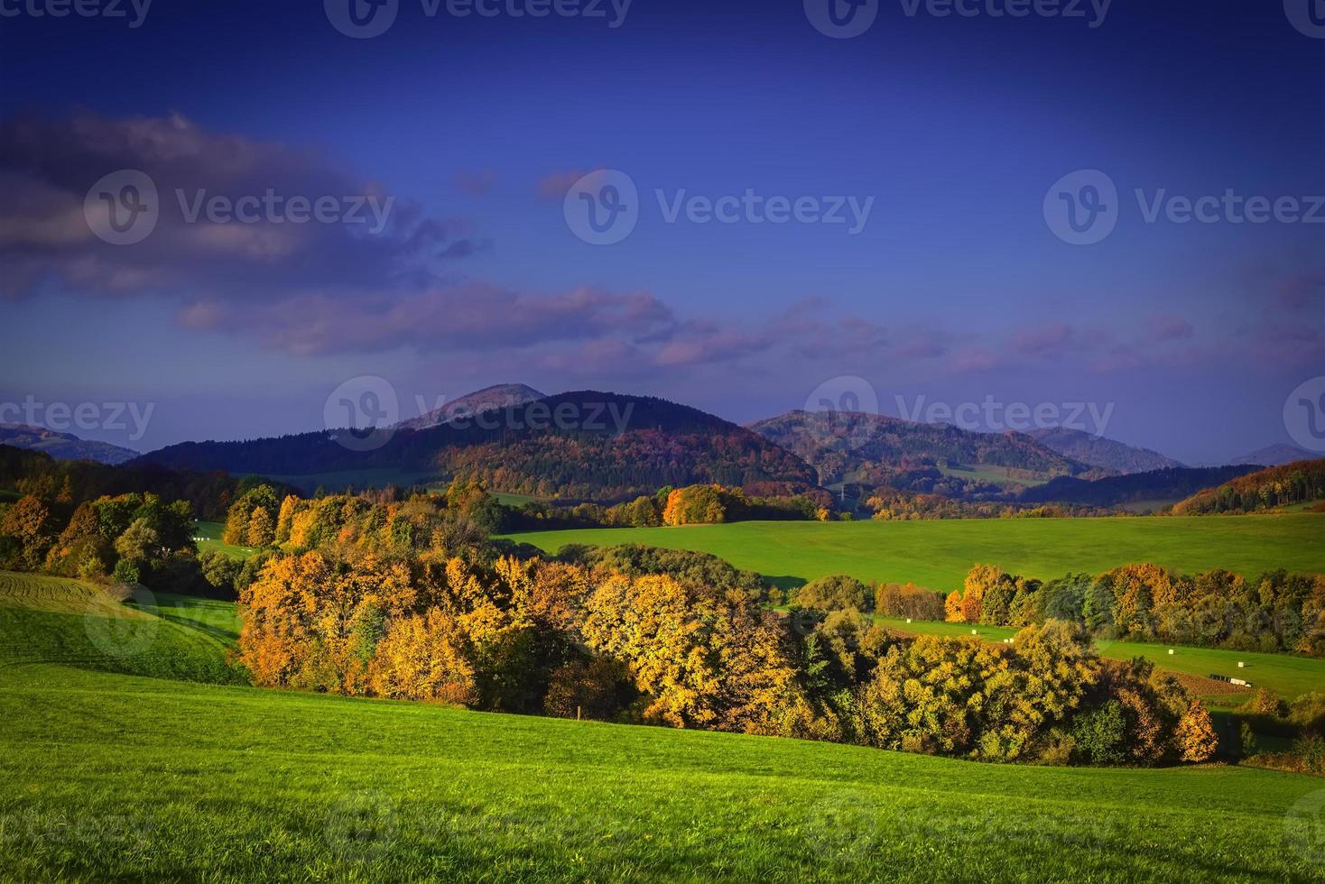 visualizzazioni di il campagna foto