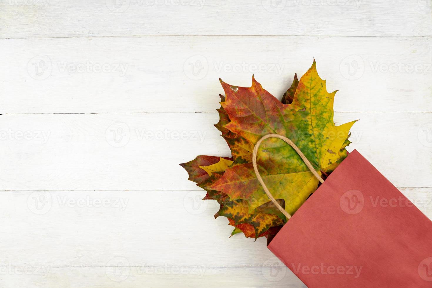 autunno mazzo di asciutto acero le foglie nel rosso carta Borsa su bianca sfondo. autunno shopping concetto con copia spazio foto