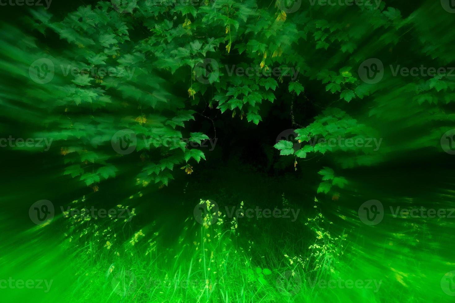 astratto primavera foresta con senso di velocità foto