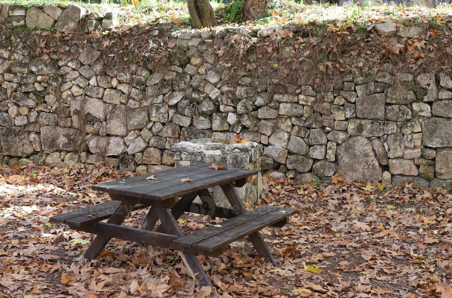 panchina per il riposo nel parco cittadino. foto