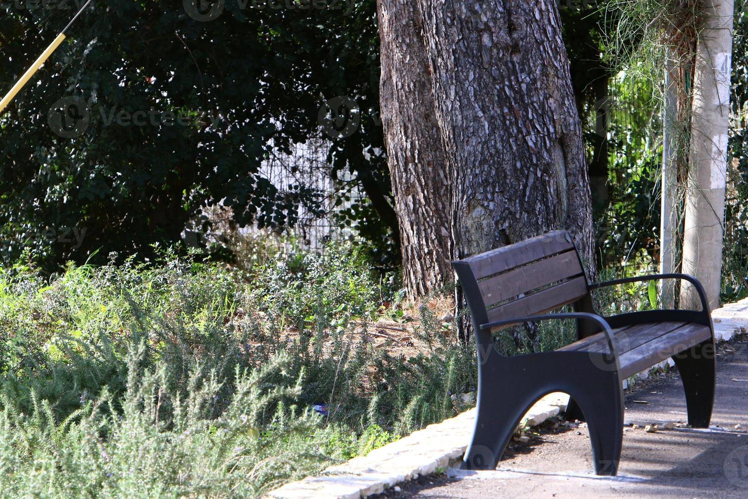 panchina per il riposo nel parco cittadino. foto