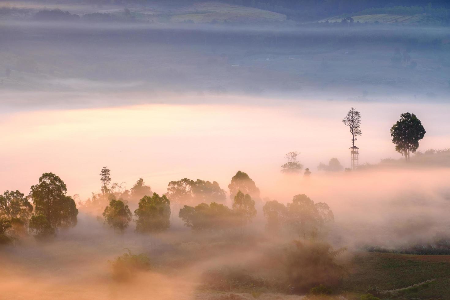 paesaggio nebbia nel mattina Alba a khao takhian ngo Visualizza punto a khao-kho phetchabun, Tailandia foto