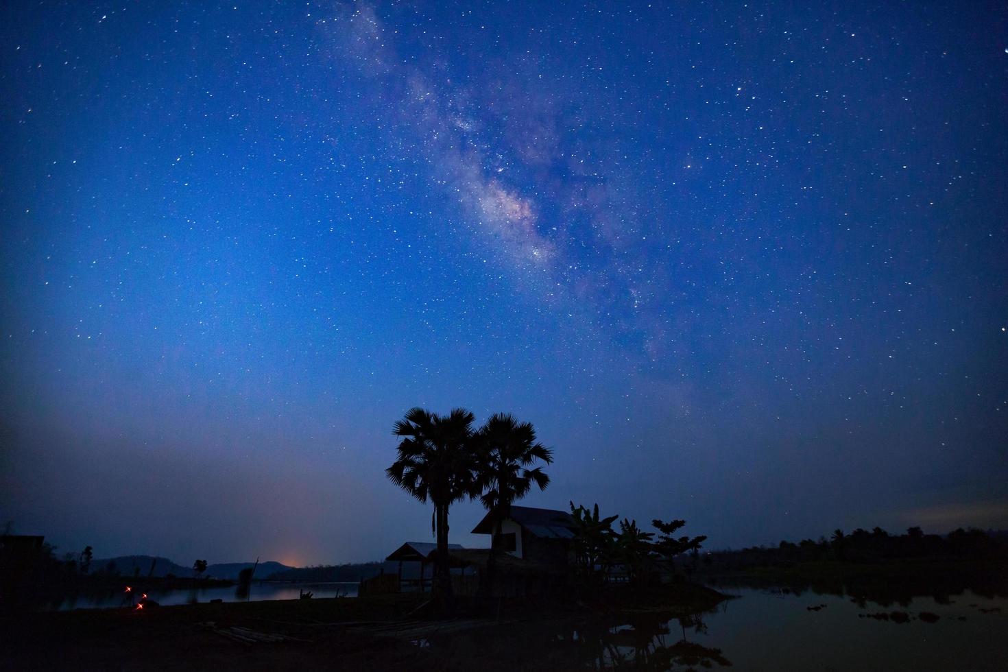 silhouette di albero e via lattea, fotografia a lunga esposizione, con grano foto