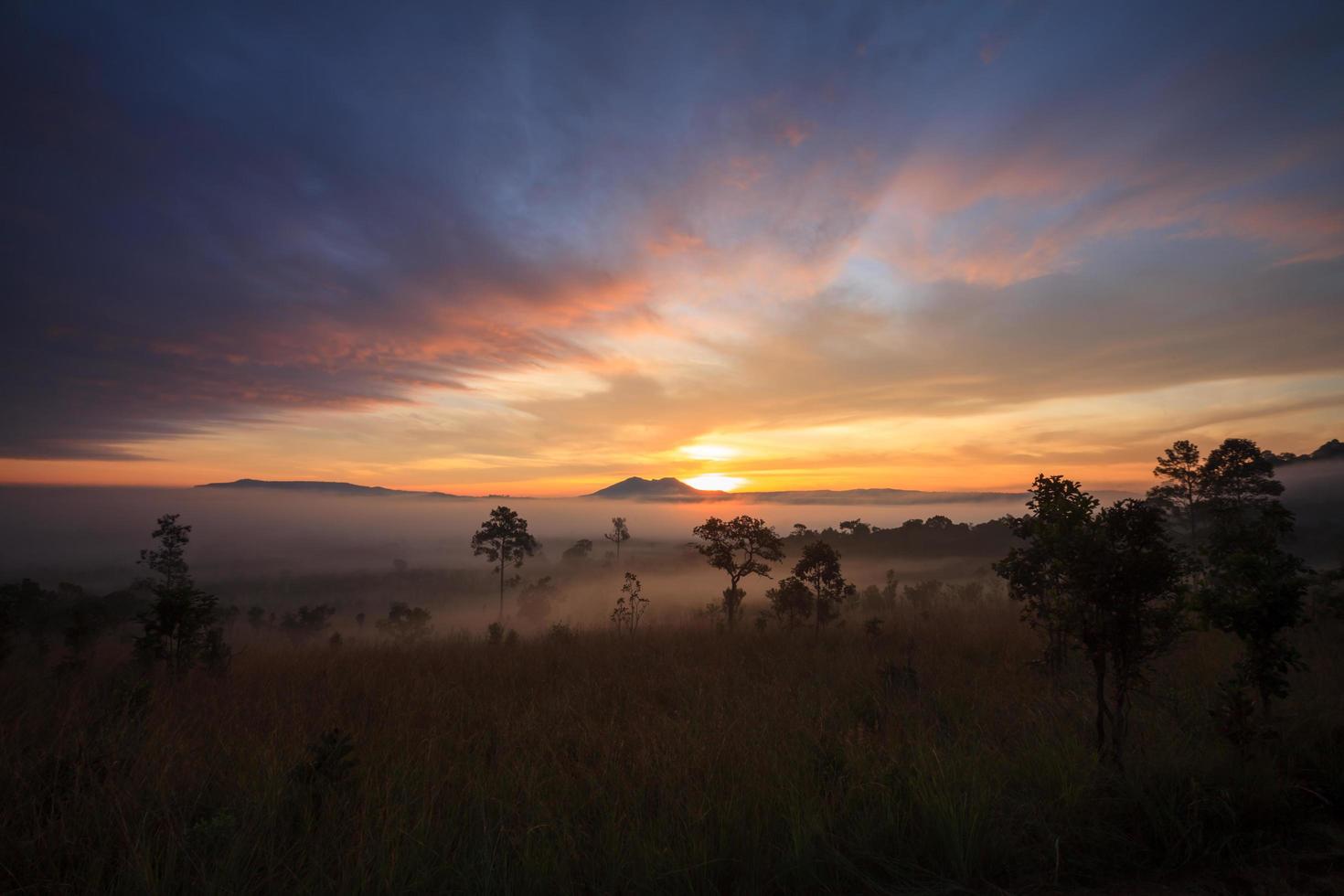 Foschia mattutina alba al parco nazionale di thung salang luang phetchabun,tung slang luang è la savana dei prati in Thailandia foto