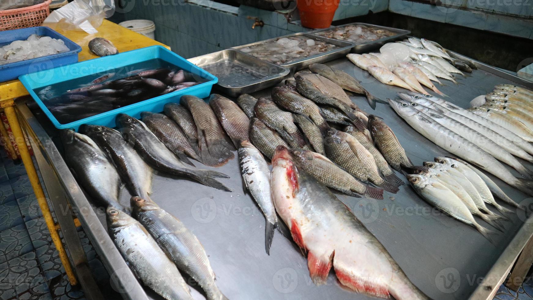 fresco mare pesce ordinatamente disposte per vendita di uno di il tradizionale pesce negozi nel Indonesia foto