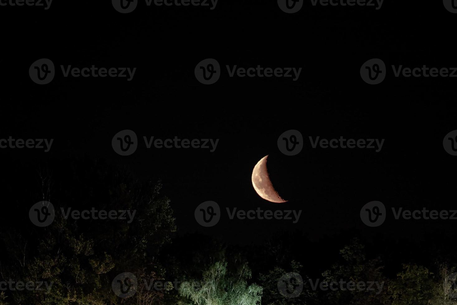 bellissimo arancia trimestre Luna nel il buio notte cielo foto