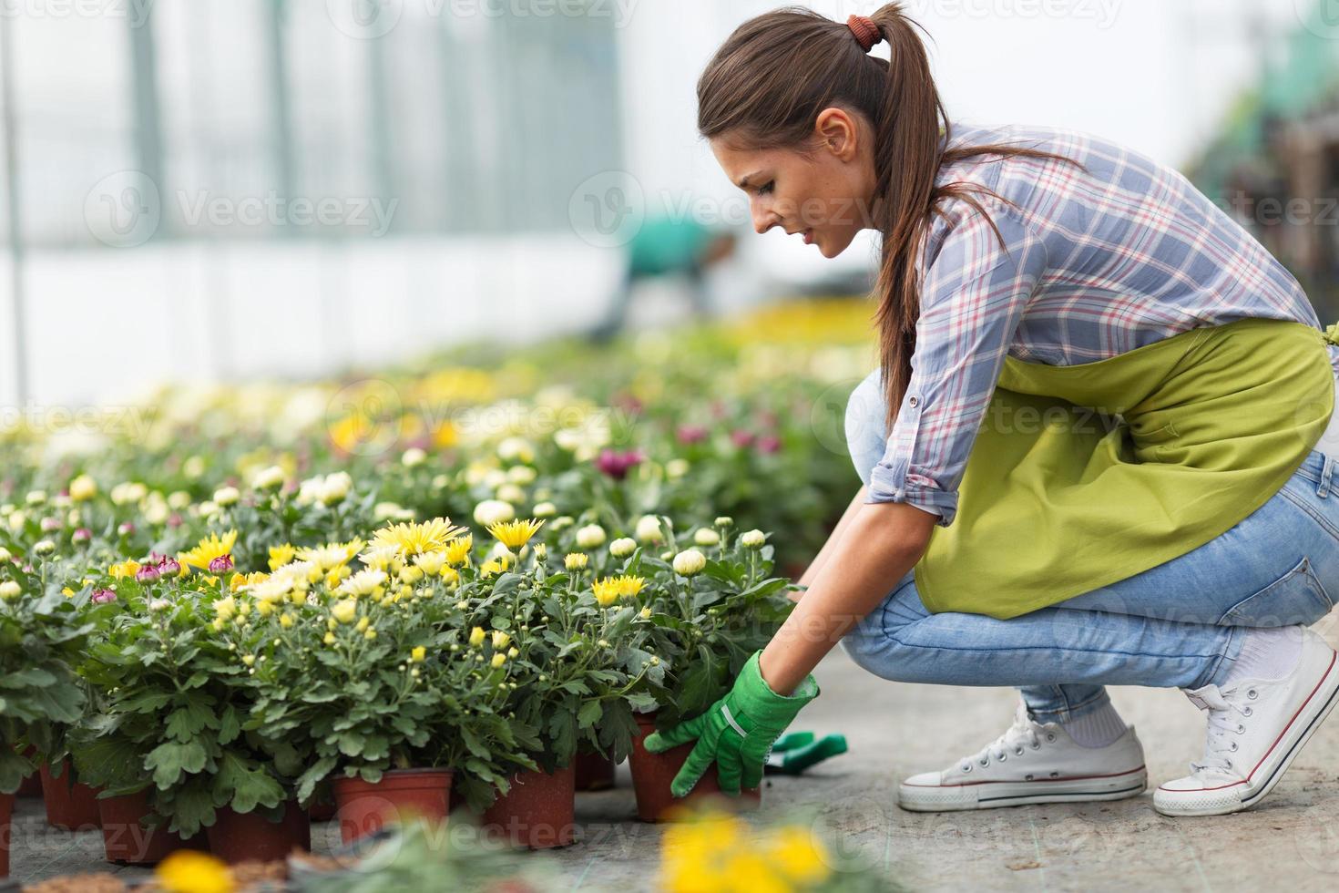 giovane donna che fa il giardinaggio in serra. foto
