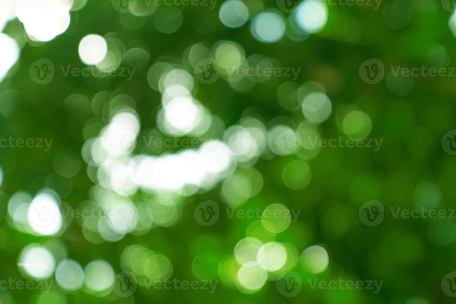 sfondo astratto bokeh verde naturale, strutturato sfocato foto