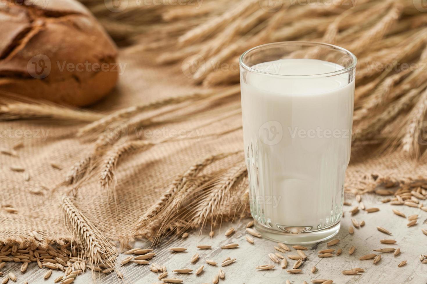 bicchiere di latte su sfondo orecchie segale e pane. foto