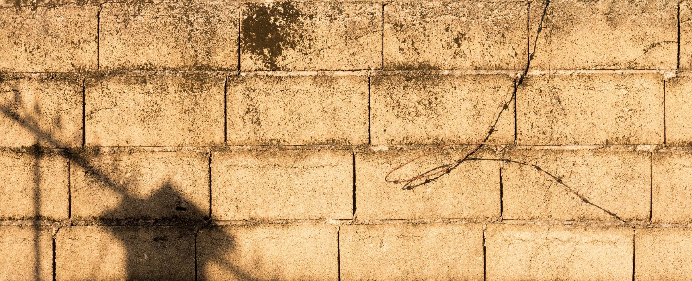 il parete di il Casa per uso come un' sfondo foto