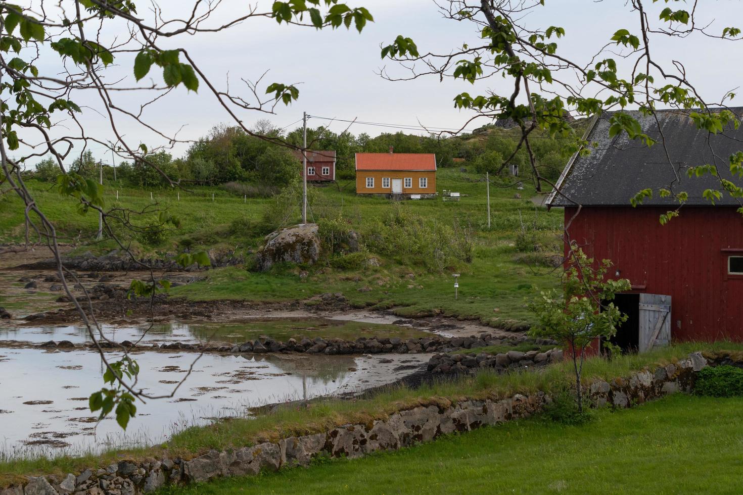 un' piccolo azienda agricola a il dell'acqua bordo nel lofoten, Norvegia. foto