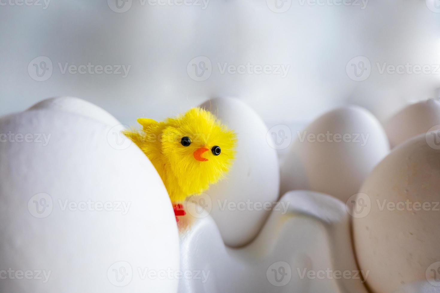 polli all'uovo sodo nella scatola delle uova. pollo artificiale sullo sfondo di uova di gallina foto