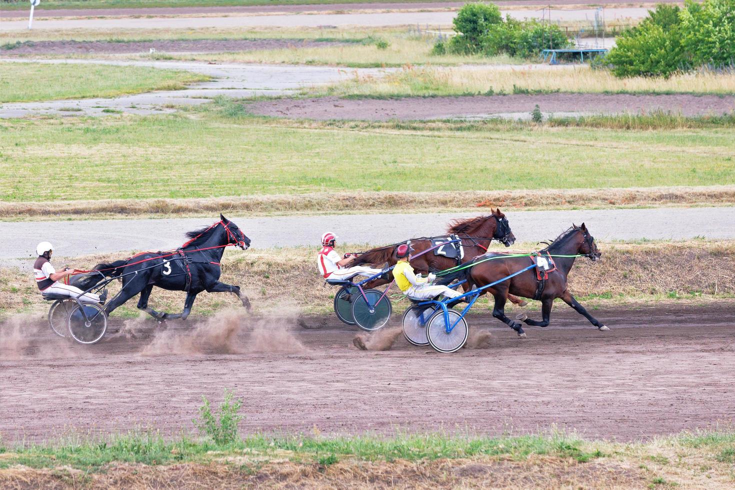 carro da corsa a il ippodromo. cavallo da corsa a il ippodromo. 26.06.2022. kiev. Ucraina. foto