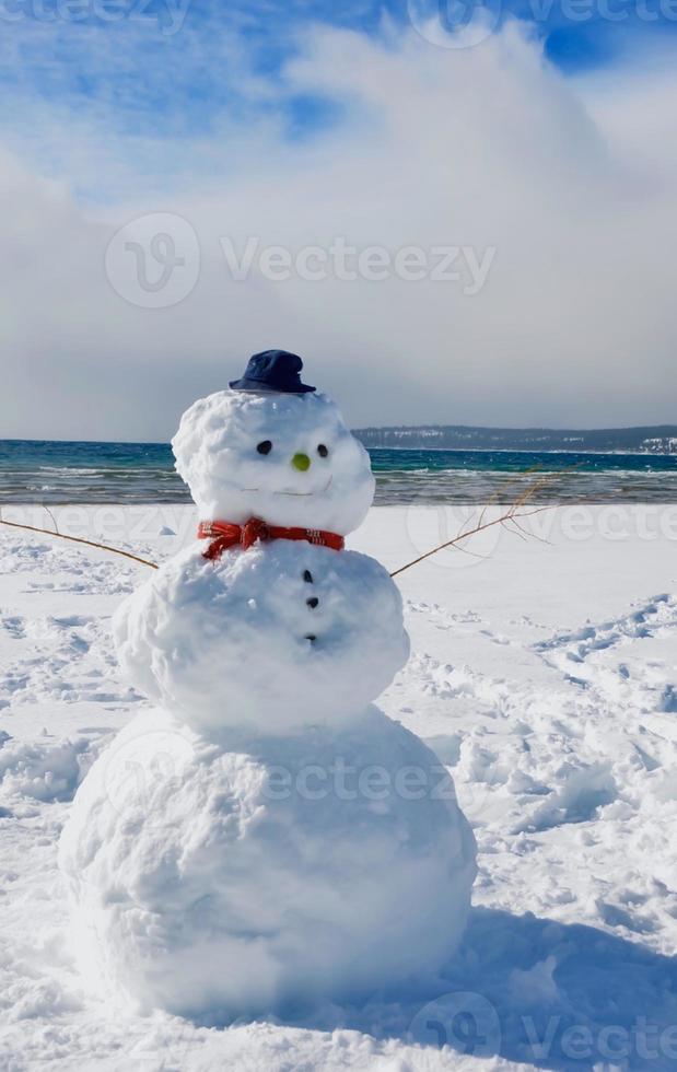 inverno pupazzo di neve di lago con soleggiato cielo foto