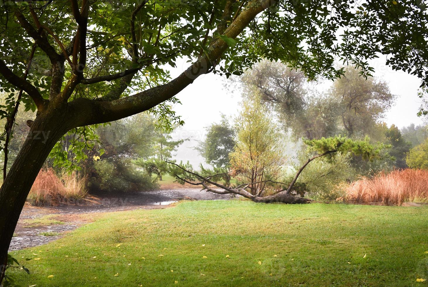 nebbioso autunno mattina paesaggio foto