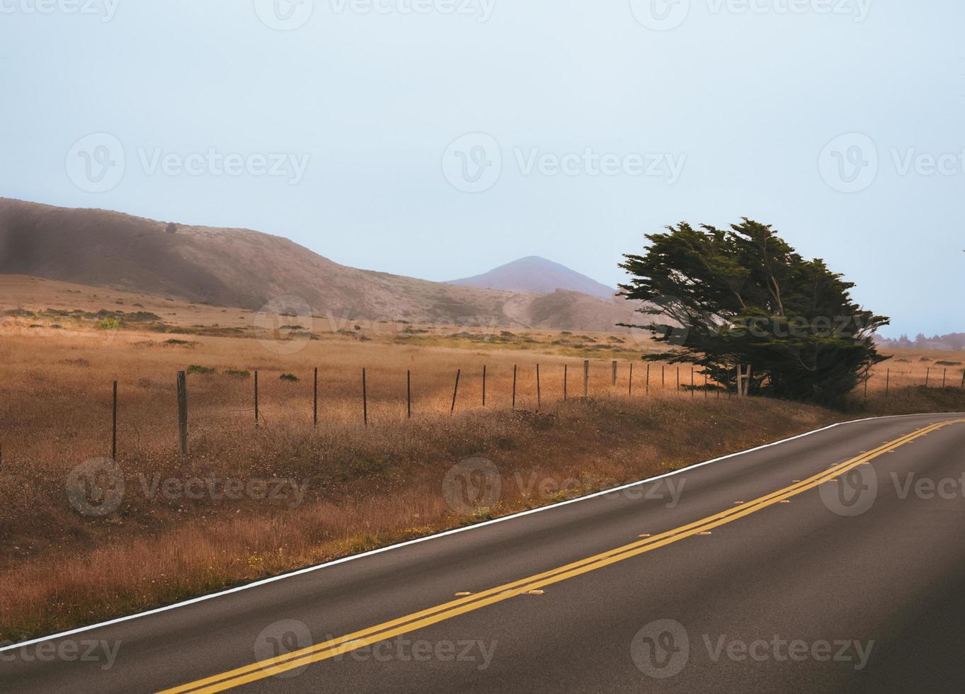 costiero autostrada con cipresso albero foto