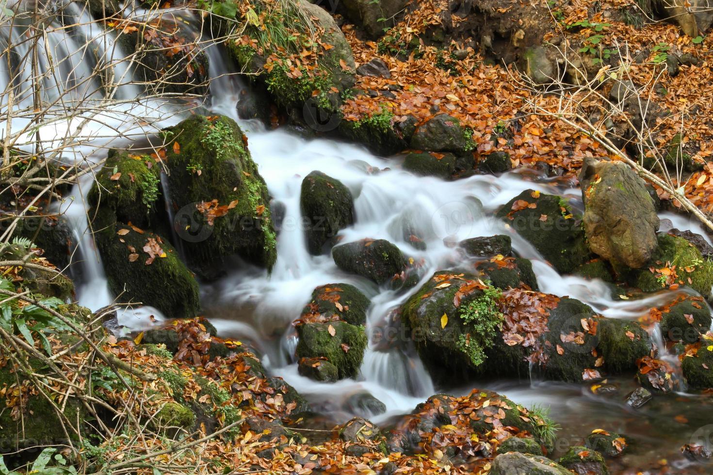 fiume nel yedigoller foto