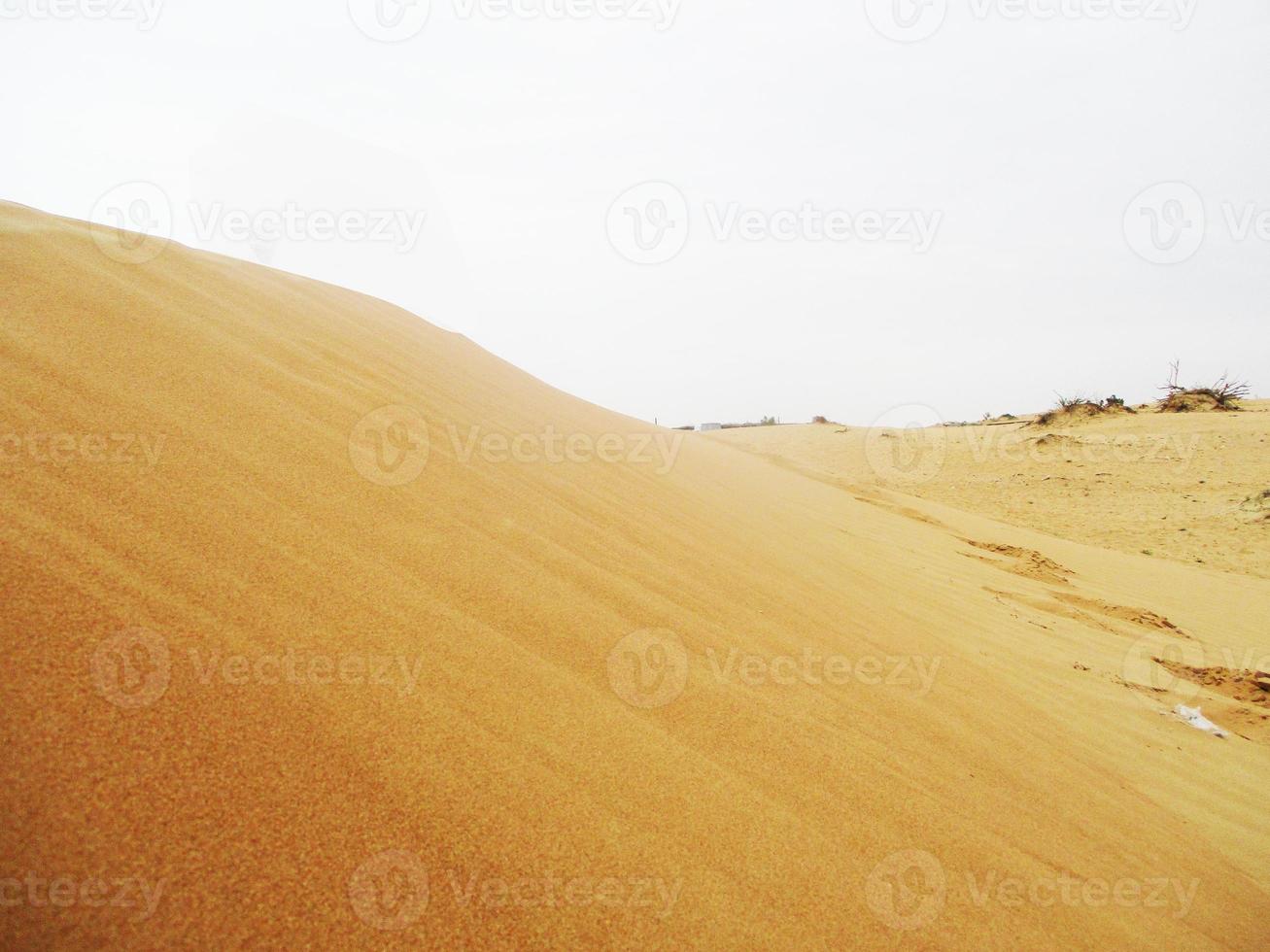 onde di sabbia struttura. dune di il deserto. deserto dune tramonto paesaggio. foto