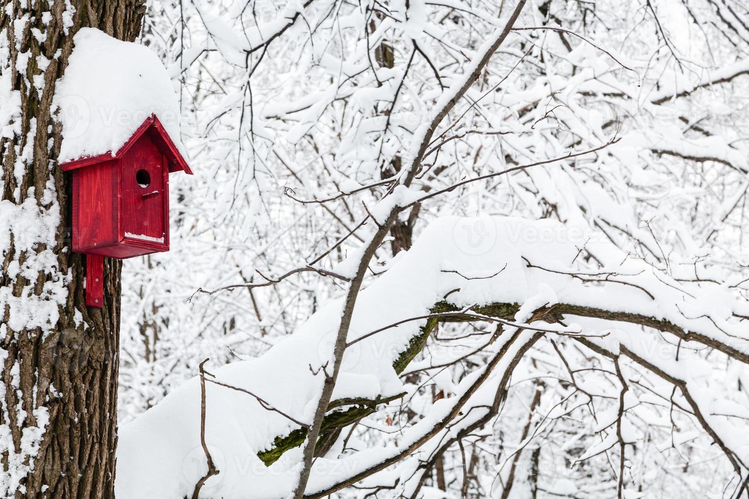 rosso di legno birdhouse nel inverno foresta foto