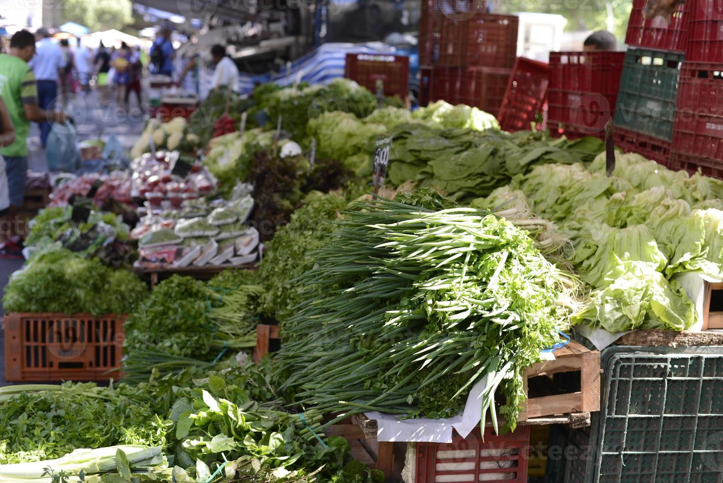 verdure esposto nel senza equità nel il città di rio de janeiro su un' Domenica mattina foto