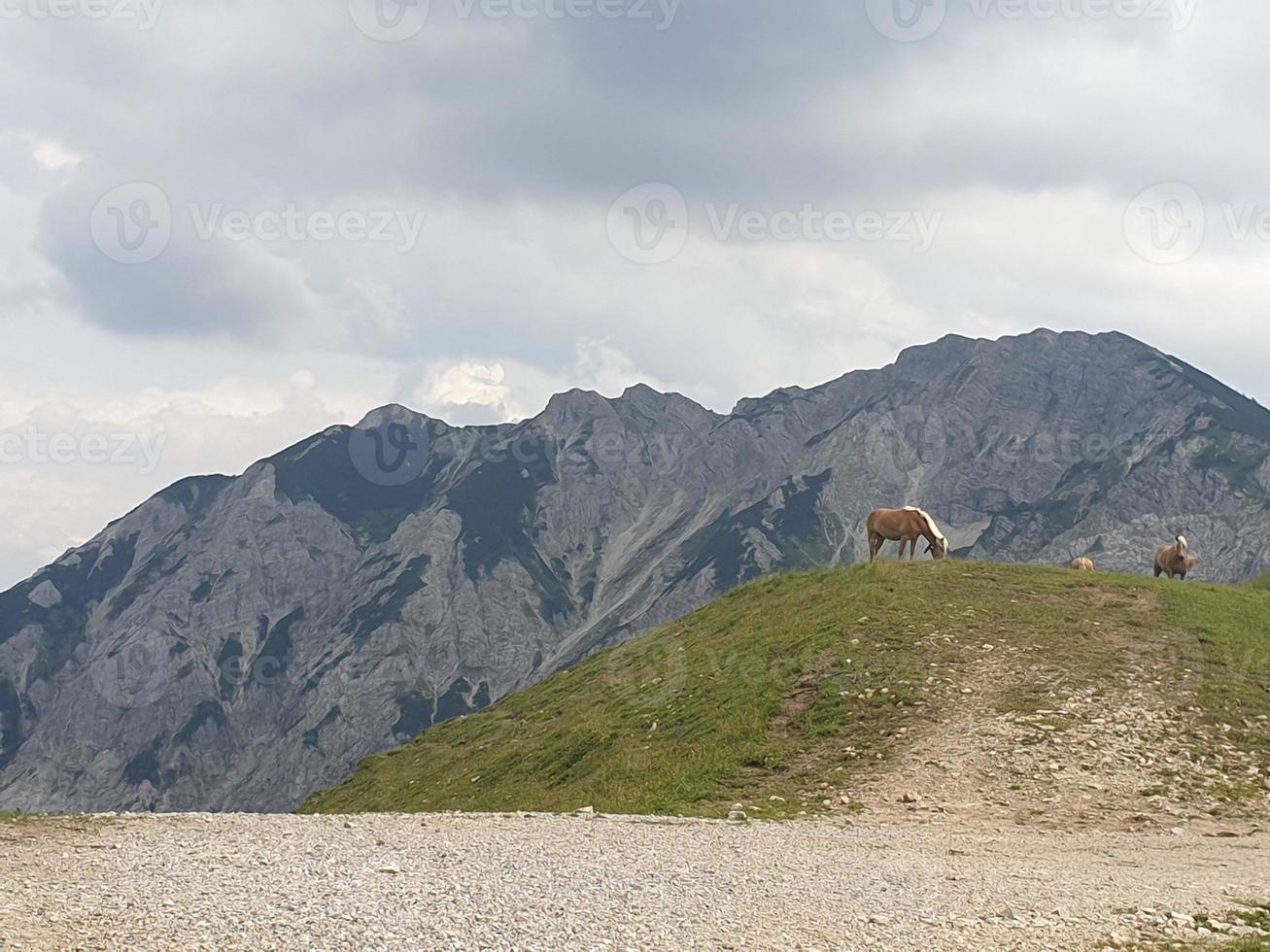 il bavarese Alpi foto