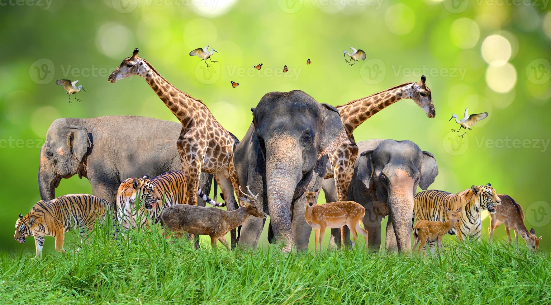 mondo animale giorno mondo natura giorno gruppi di selvaggio bestie erano si riunirono nel il mani di persone foto