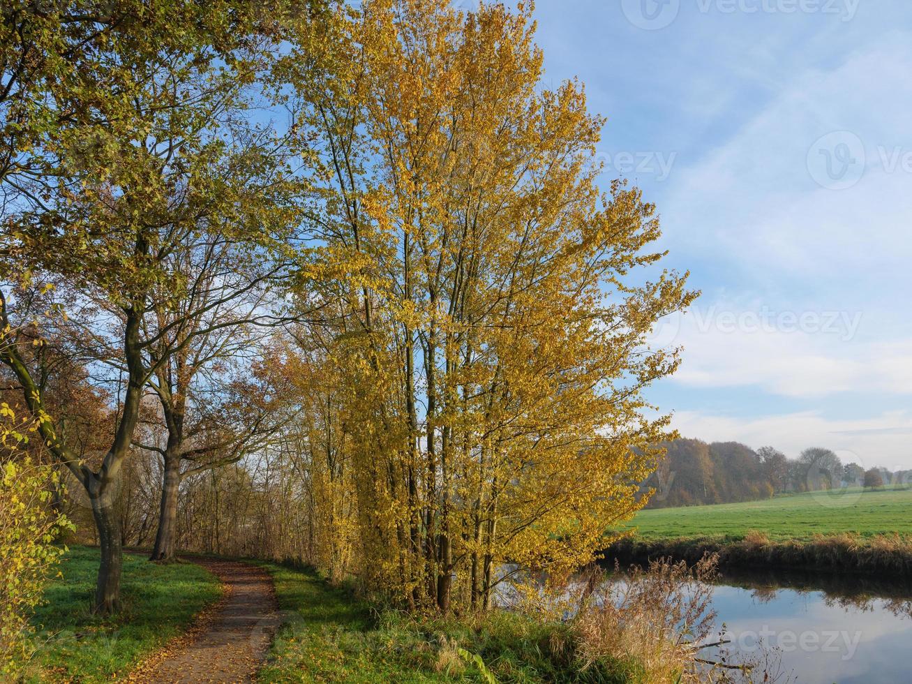 autunno tempo a il fiume foto