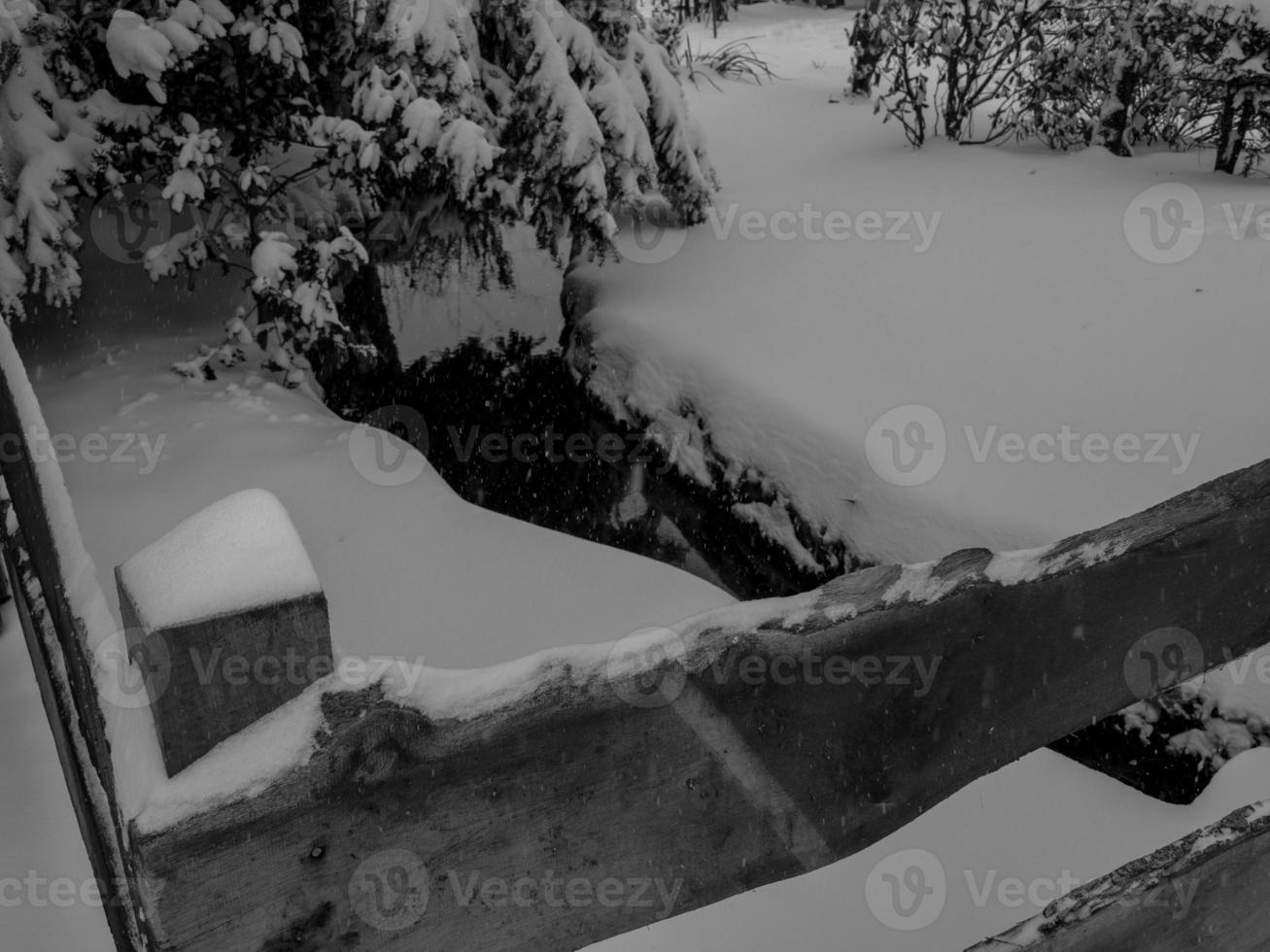 inverno tempo nel TE Tedesco Münsterland foto