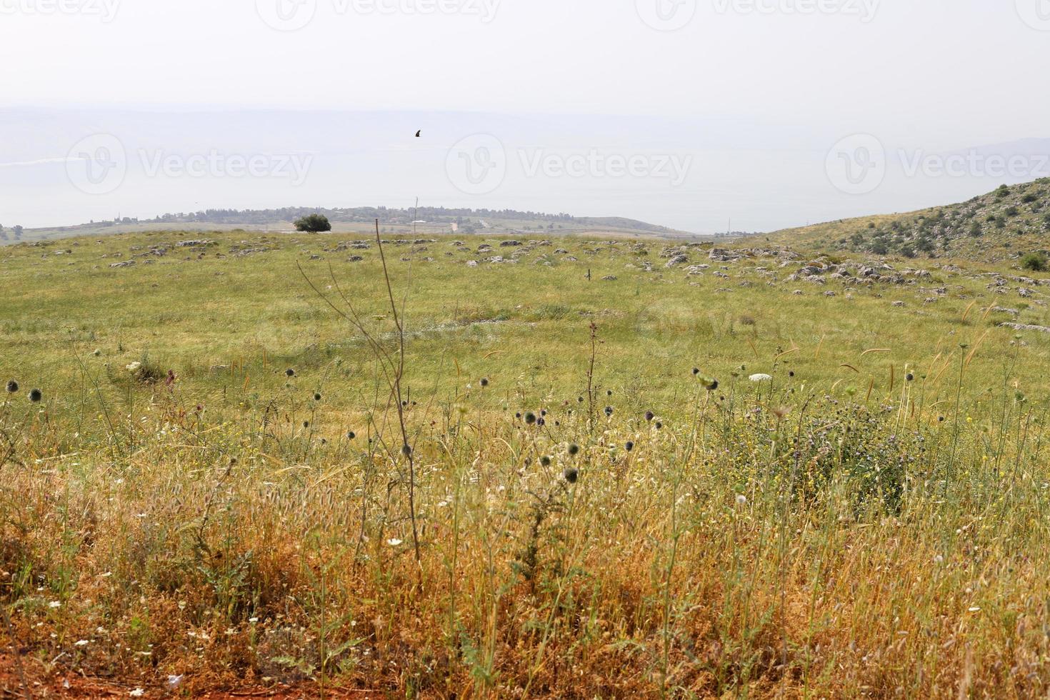 paesaggio nel il montagne nel settentrionale Israele. foto