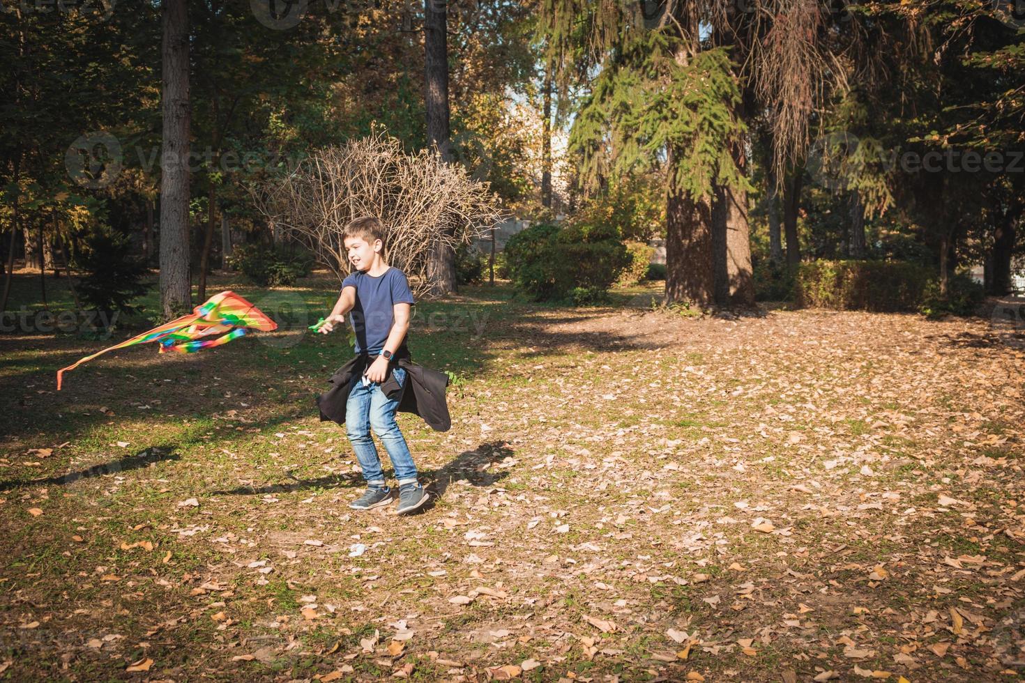 contento ragazzo con un' aquilone Filatura nel il parco. foto