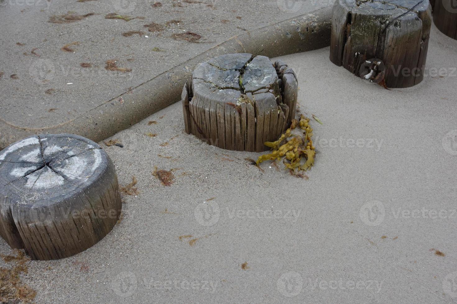 il isola di zingst a il baltico mare foto