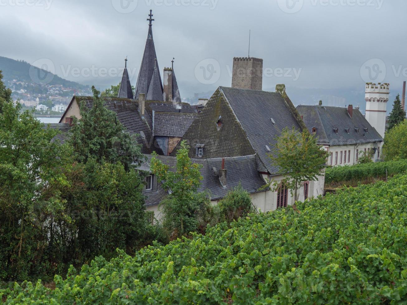 ruedesheim a il Reno fiume foto