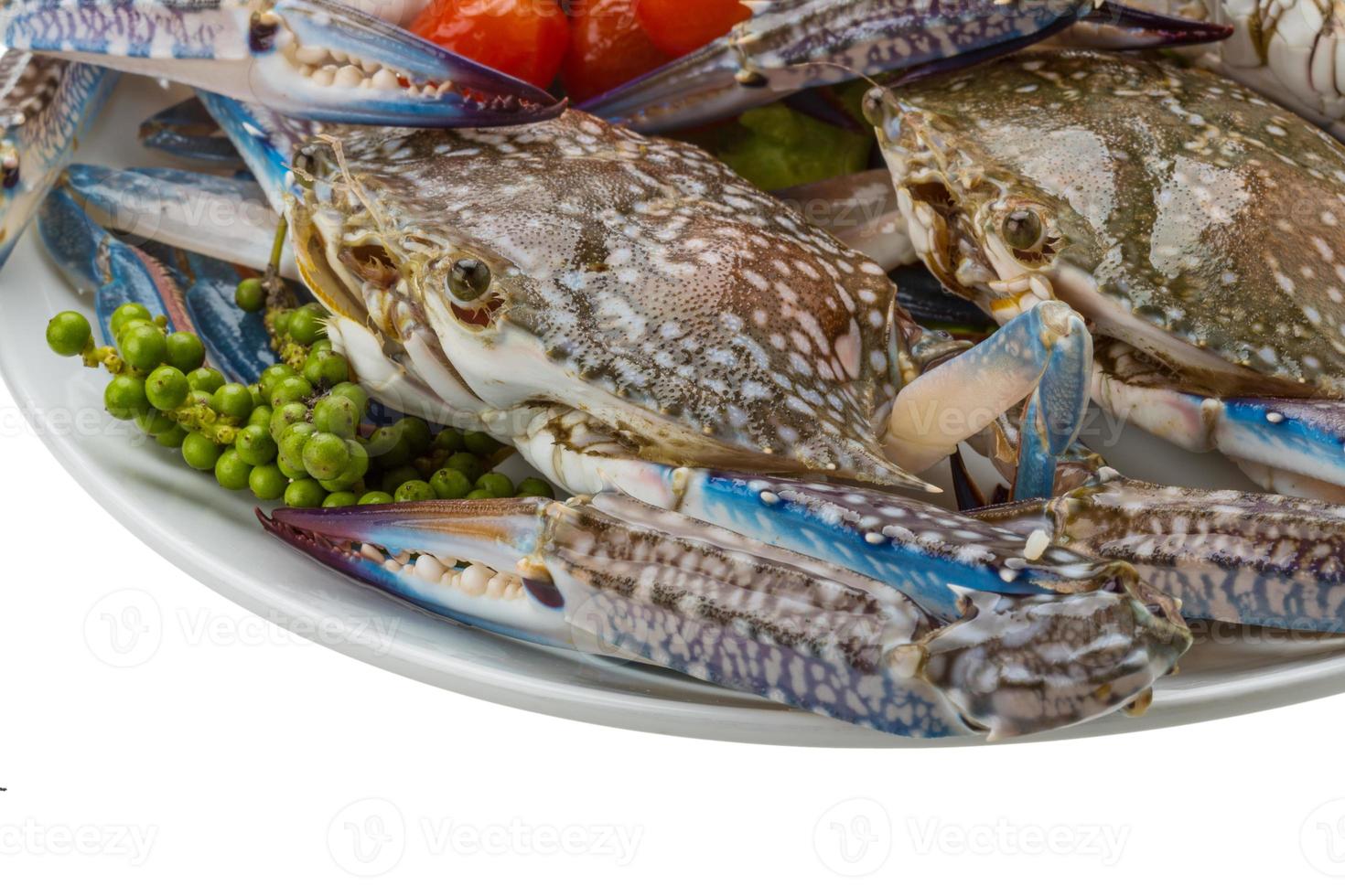 crudo blu Granchio su il piatto e bianca sfondo foto