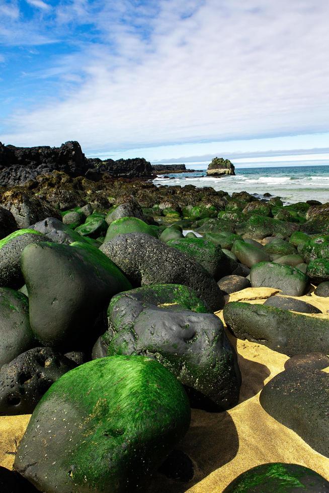 paesaggio pittoresco con natura verde in Islanda durante l'estate. immagine con una natura molto tranquilla e innocente. foto