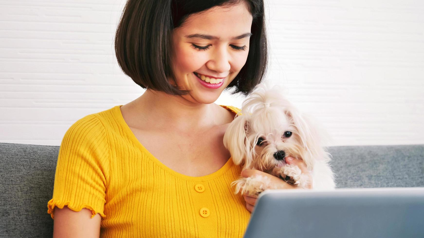 asiatico donna Lavorando su un' il computer portatile computer e shihtzu cane seduta insieme su un' divano a casa foto