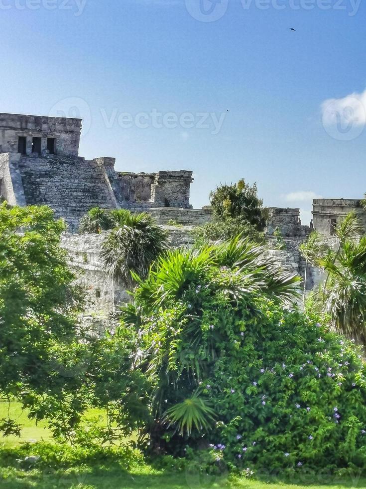 antiche rovine di tulum sito maya tempio piramidi manufatti vista sul mare messico. foto