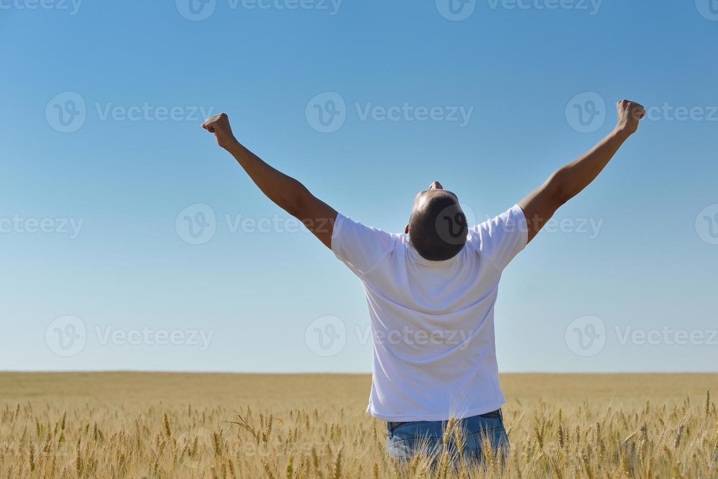 uomo nel campo di grano foto