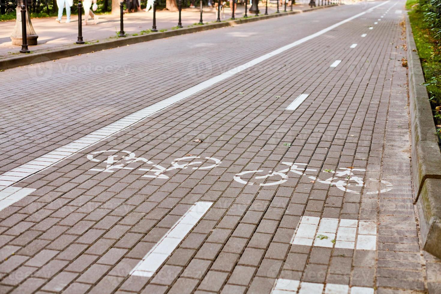 pista ciclabile a doppio senso, segnaletica pista ciclabile sul marciapiede, cartello bicicletta dipinto di bianco su strada, simbolo ciclo foto