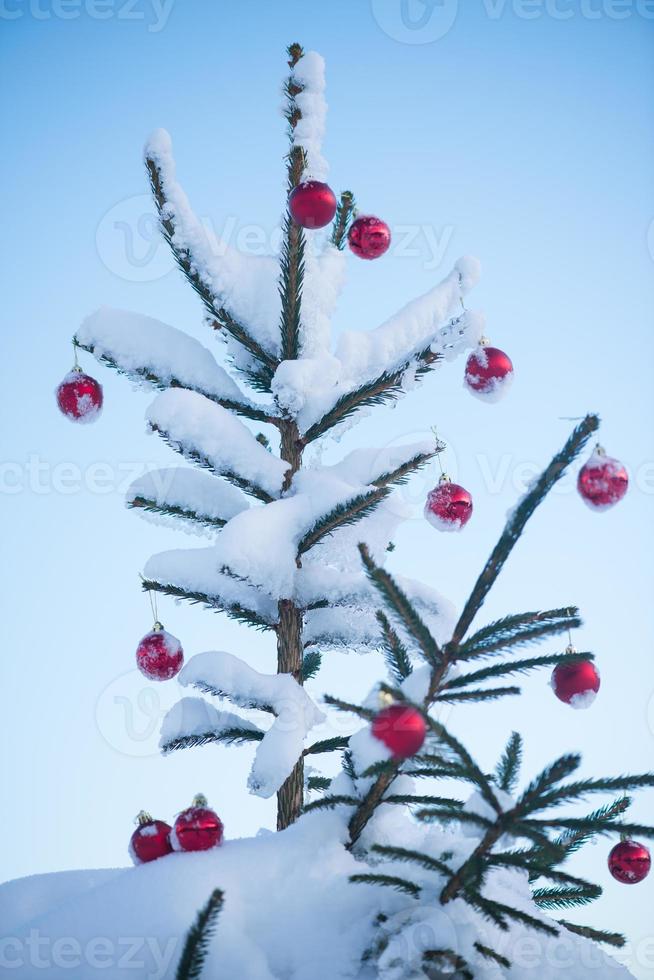 Natale palle su albero foto