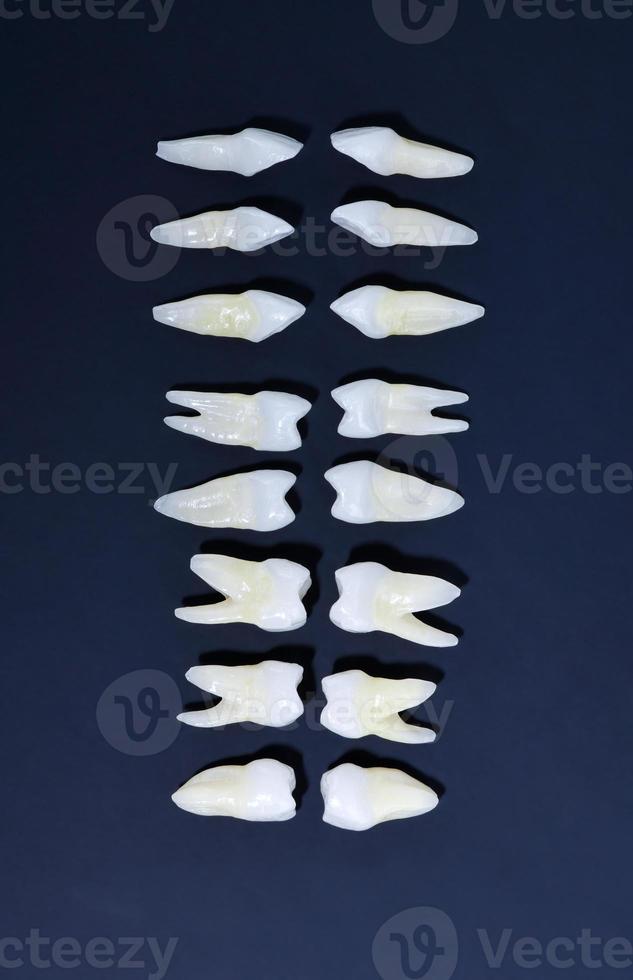 superiore Visualizza di bianca denti su blu sfondo foto