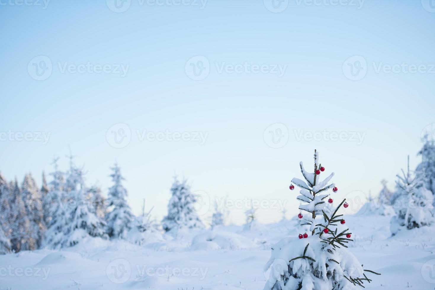 Natale palle su albero foto