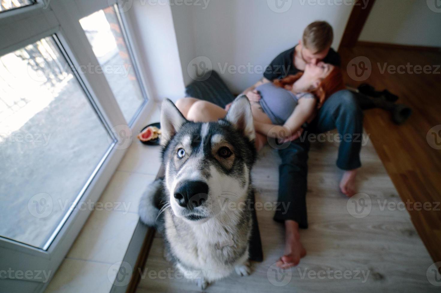 giovane famiglia e cane foto