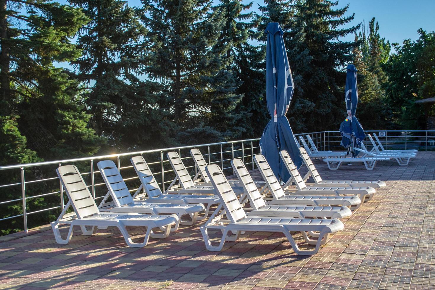 primordiale, Ucraina. bordo piscina. lettini vicino nuoto piscina circondato di pino alberi foto