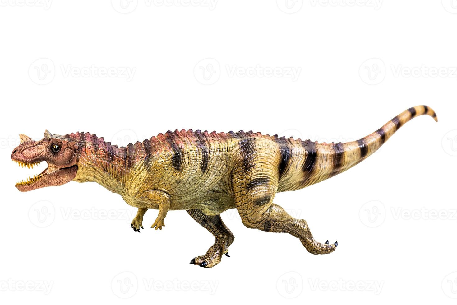 ceratosaurus dinosauro su bianca isolato sfondo ritaglio sentiero foto