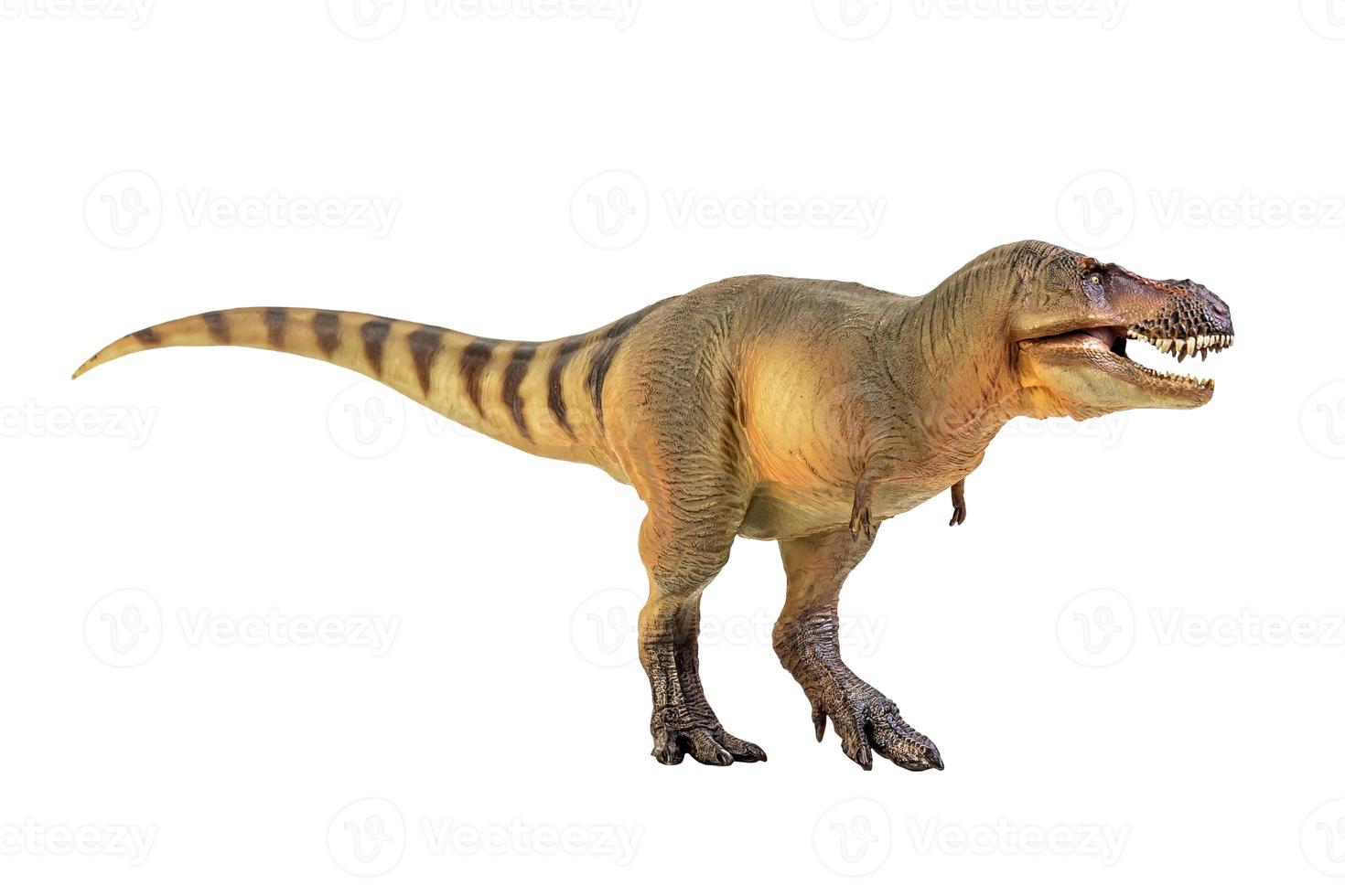 tirannosauro rex dinosauro su bianca isolato sfondo ritaglio sentiero foto