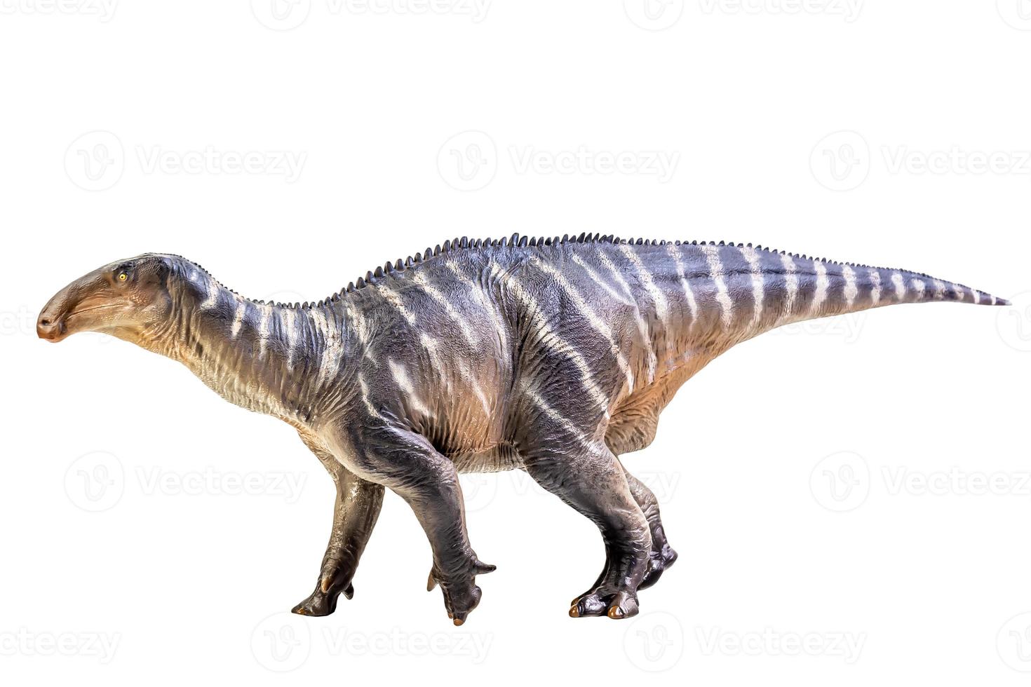 iguanodon dinosauro su bianca isolato sfondo ritaglio sentiero foto