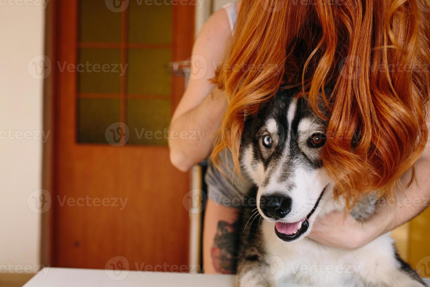 cane e capelli foto