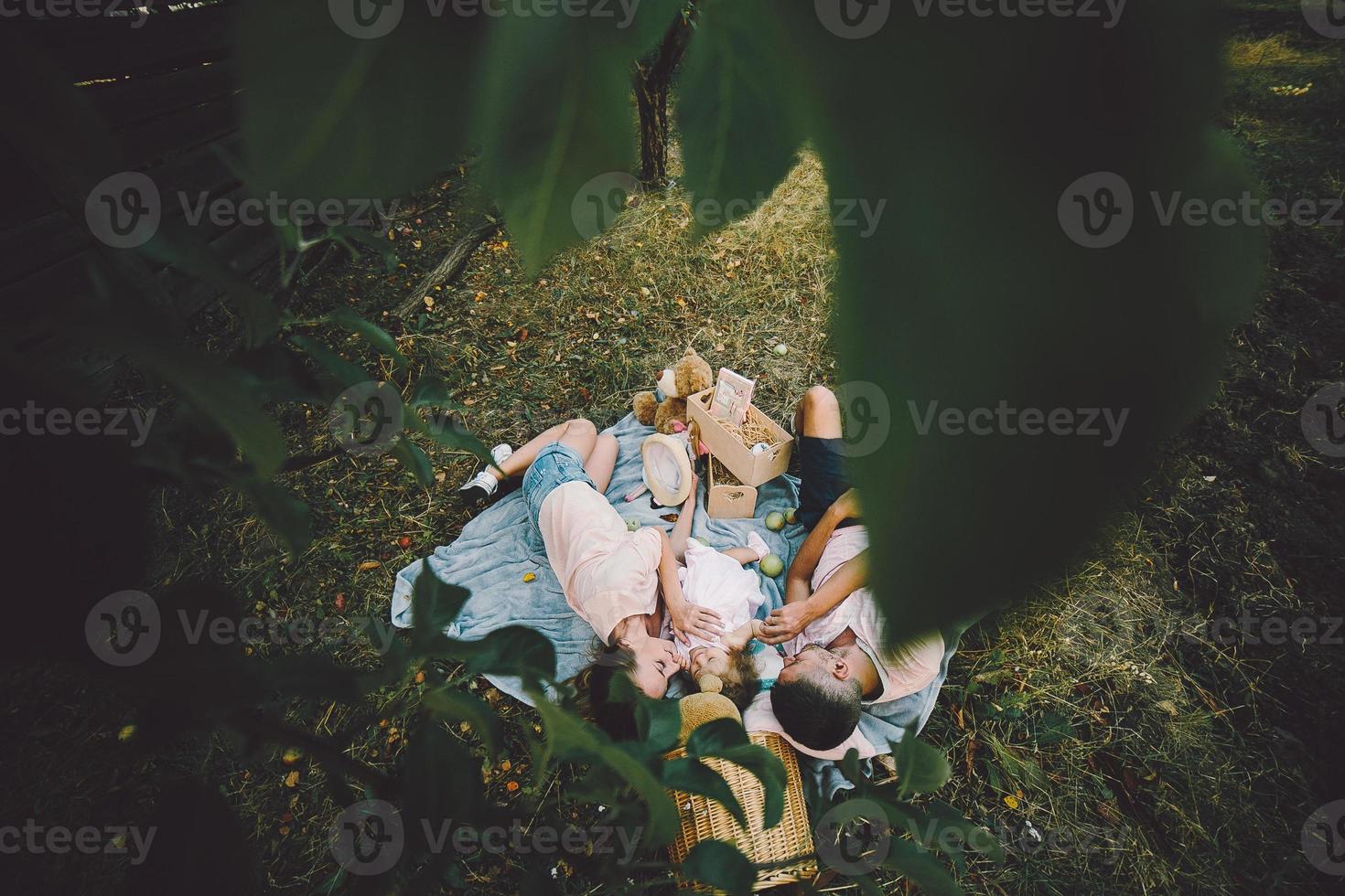 contento famiglia su prato nel il parco foto